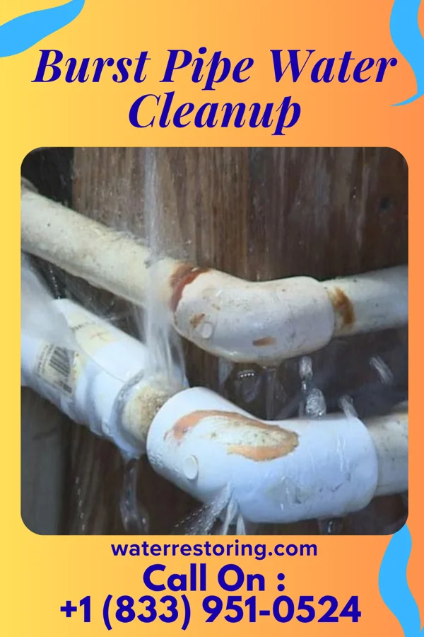 Burst Pipe Water Cleanup in Oberlin, PA