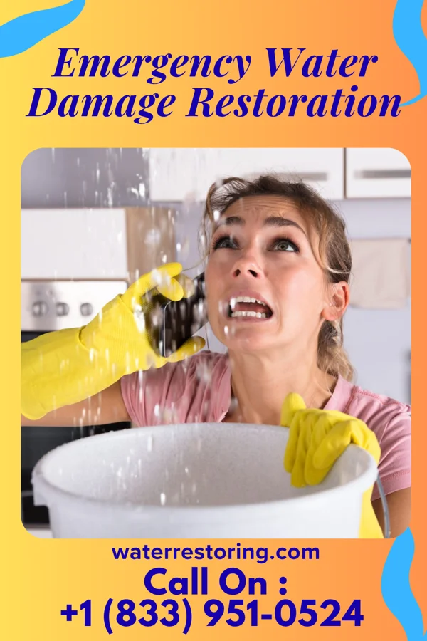 Emergency Water Damage Restoration in Oberlin, PA