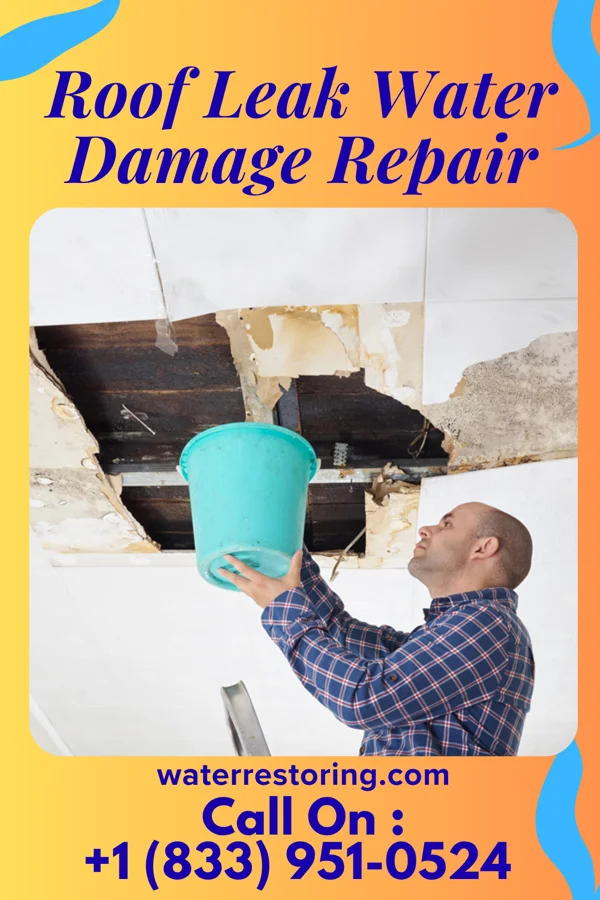 Roof Leak Water Damage Repair in Oberlin, PA