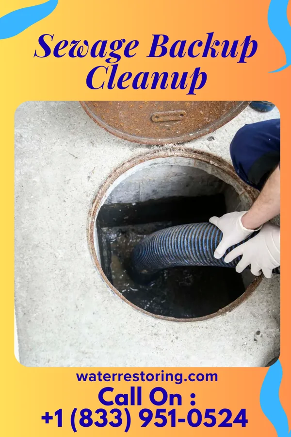 Sewage Backup Cleanup in Oberlin, PA