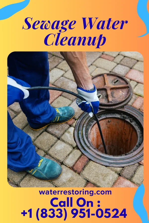 Sewage Water Cleanup in Oberlin, PA