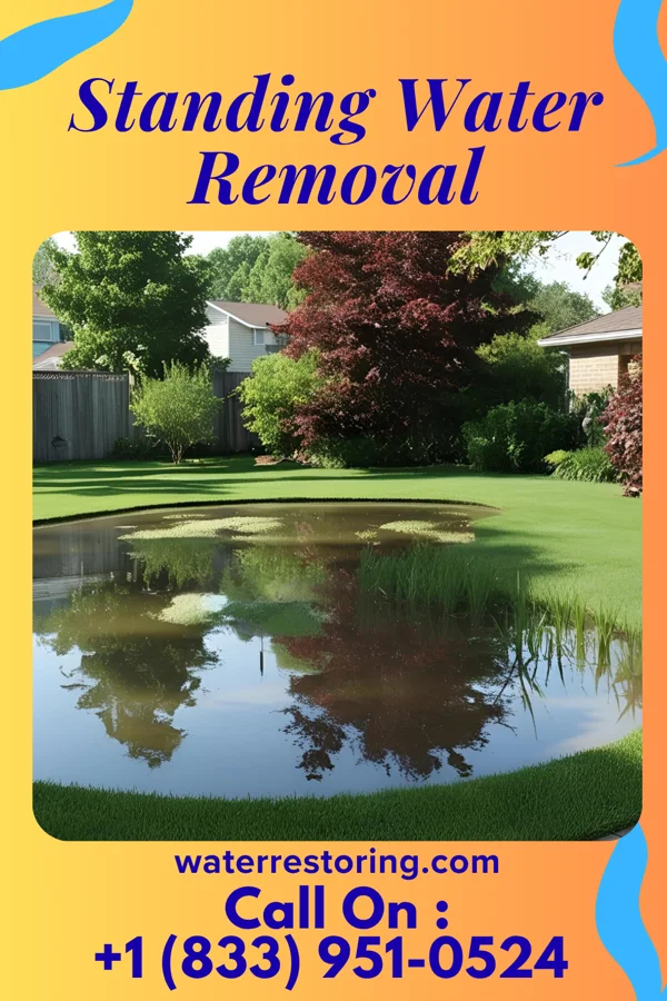 Standing Water Removal in Oberlin, PA